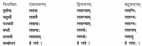 Class 7 Sanskrit Grammar Book Solutions शब्द-रूपाणि 24