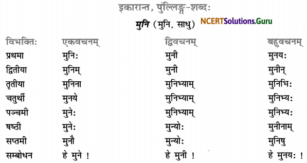Class 7 Sanskrit Grammar Book Solutions शब्द-रूपाणि 25