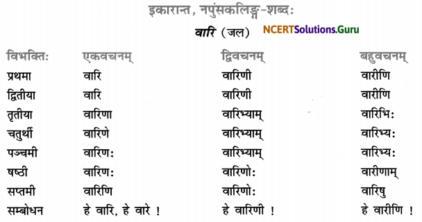 Class 7 Sanskrit Grammar Book Solutions शब्द-रूपाणि 26