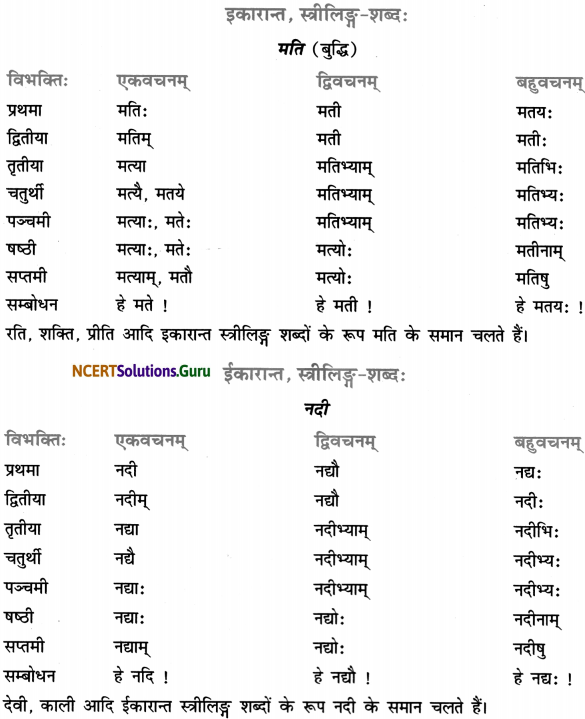 Class 7 Sanskrit Grammar Book Solutions शब्द-रूपाणि 7