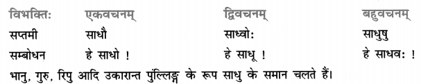 Class 7 Sanskrit Grammar Book Solutions शब्द-रूपाणि 9