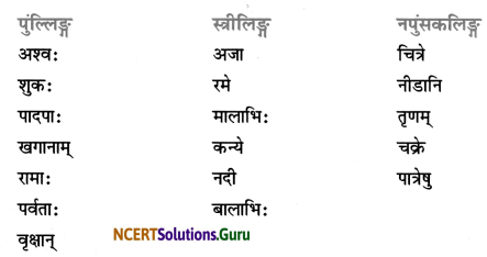 Class 7 Sanskrit Grammar Book Solutions शब्द-विचार एवं संज्ञा शब्द 3