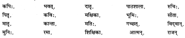 Class 7 Sanskrit Grammar Book Solutions शब्द-विचार एवं संज्ञा शब्द 4