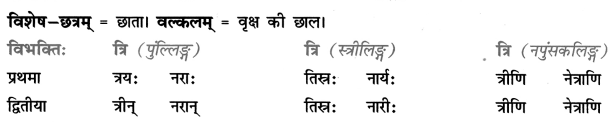 Class 7 Sanskrit Grammar Book Solutions संख्यावाचक-विशेषणपदानि 2