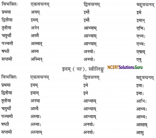 Class 7 Sanskrit Grammar Book Solutions सर्वनाम 1