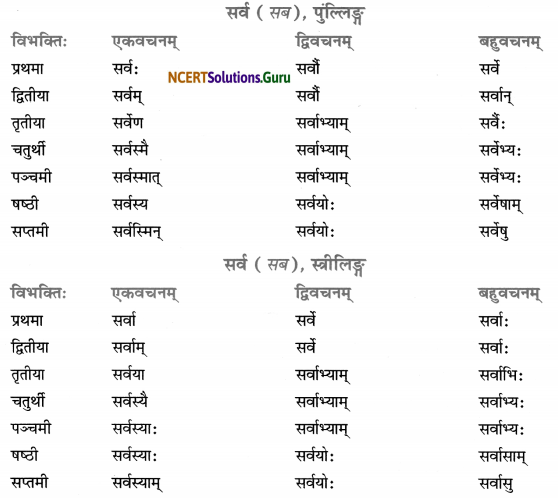 Class 7 Sanskrit Grammar Book Solutions सर्वनाम 3