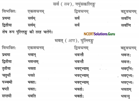 Class 7 Sanskrit Grammar Book Solutions सर्वनाम 4