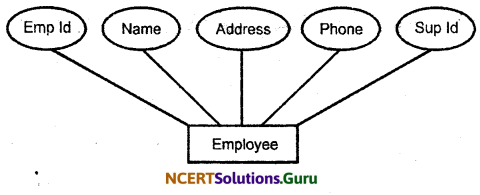 NCERT Solutions for Class 11 Accountancy Chapter 14 Structuring Database for Accounting 14