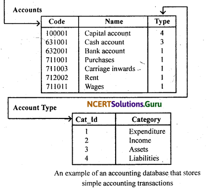 NCERT Solutions for Class 11 Accountancy Chapter 14 Structuring Database for Accounting 20