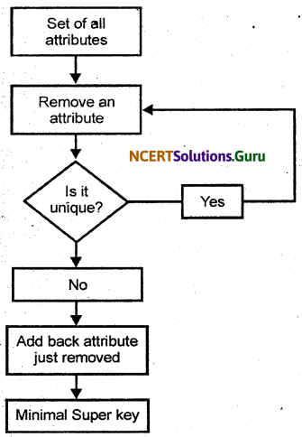 NCERT Solutions for Class 11 Accountancy Chapter 14 Structuring Database for Accounting 8
