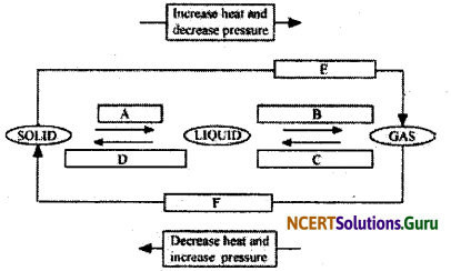 NCERT Solutions for Class 9 Science Chapter 1 Matter in Our Surroundings 2