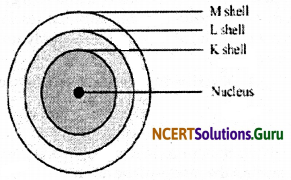 NCERT Solutions for Class 9 Science Chapter 4 Structure of the Atom 1