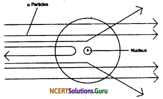 NCERT Solutions for Class 9 Science Chapter 4 Structure of the Atom 12