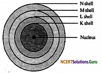NCERT Solutions for Class 9 Science Chapter 4 Structure of the Atom 2