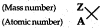 NCERT Solutions for Class 9 Science Chapter 4 Structure of the Atom 6