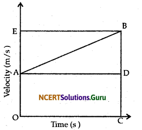 NCERT Solutions for Class 9 Science Chapter 8 Motion 31