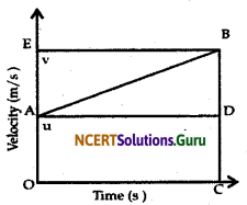 NCERT Solutions for Class 9 Science Chapter 8 Motion 33