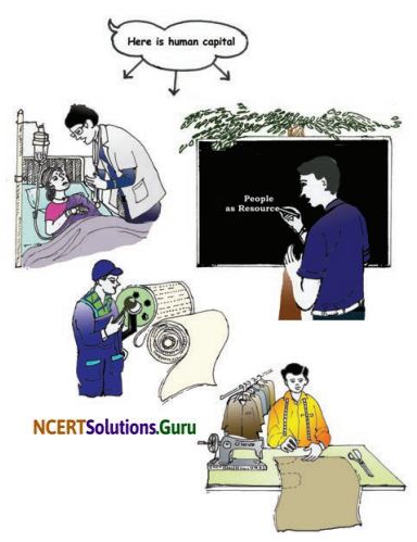 NCERT Solutions for Class 9 Social Science Economics Chapter 2 People as Resource Page 17 Q1