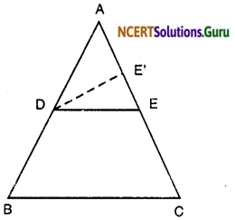 NCERT Solutions for Class 10 Maths Chapter 6 Triangles Ex 6.2 12