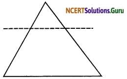 NCERT Solutions for Class 10 Maths Chapter 6 Triangles Ex 6.2 3