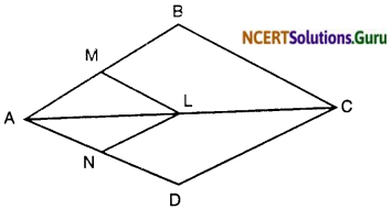 NCERT Solutions for Class 10 Maths Chapter 6 Triangles Ex 6.2 7