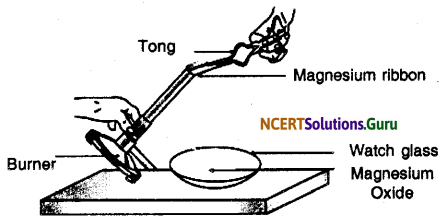 NCERT Solutions for Class 10 Science Chapter 1 Chemical Reactions and Equations 12