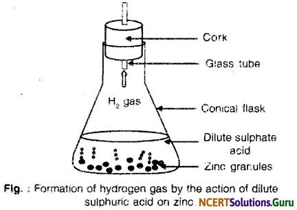 NCERT Solutions for Class 10 Science Chapter 1 Chemical Reactions and Equations 13