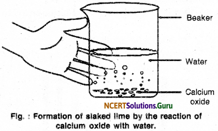 NCERT Solutions for Class 10 Science Chapter 1 Chemical Reactions and Equations 14