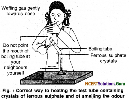 NCERT Solutions for Class 10 Science Chapter 1 Chemical Reactions and Equations 16