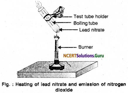 NCERT Solutions for Class 10 Science Chapter 1 Chemical Reactions and Equations 17
