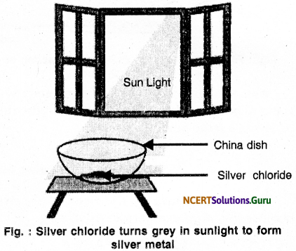 NCERT Solutions for Class 10 Science Chapter 1 Chemical Reactions and Equations 20