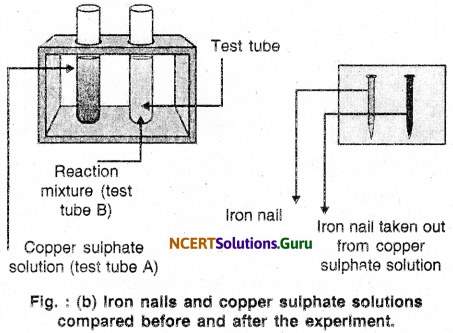 NCERT Solutions for Class 10 Science Chapter 1 Chemical Reactions and Equations 22
