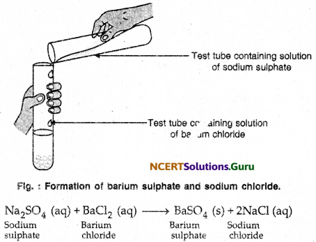 NCERT Solutions for Class 10 Science Chapter 1 Chemical Reactions and Equations 24