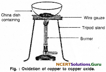NCERT Solutions for Class 10 Science Chapter 1 Chemical Reactions and Equations 26