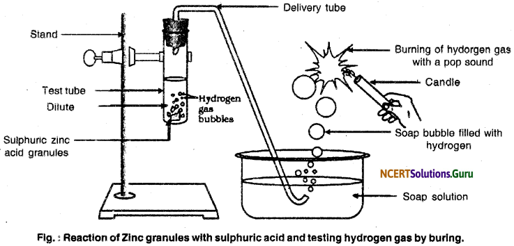 NCERT Solutions for Class 10 Science Chapter 2 Acids, Bases and Salts 10