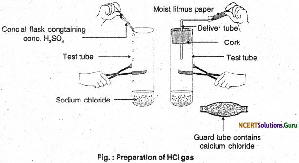 NCERT Solutions for Class 10 Science Chapter 2 Acids, Bases and Salts 16