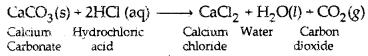 NCERT Solutions for Class 10 Science Chapter 2 Acids, Bases and Salts 2