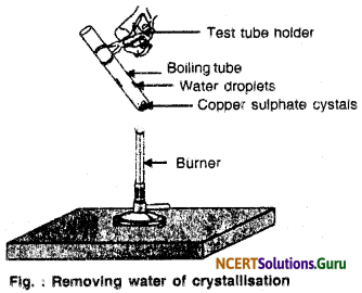 NCERT Solutions for Class 10 Science Chapter 2 Acids, Bases and Salts 20