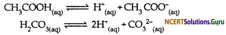 NCERT Solutions for Class 10 Science Chapter 2 Acids, Bases and Salts 22