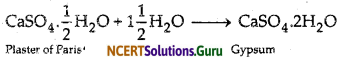 NCERT Solutions for Class 10 Science Chapter 2 Acids, Bases and Salts 4