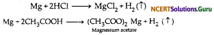 NCERT Solutions for Class 10 Science Chapter 2 Acids, Bases and Salts 5