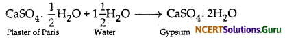 NCERT Solutions for Class 10 Science Chapter 2 Acids, Bases and Salts 6