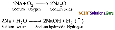 NCERT Solutions for Class 10 Science Chapter 3 Metals and Non-Metals 1
