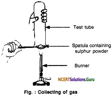 NCERT Solutions for Class 10 Science Chapter 3 Metals and Non-Metals 10