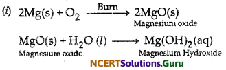 NCERT Solutions for Class 10 Science Chapter 3 Metals and Non-Metals 18