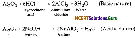 NCERT Solutions for Class 10 Science Chapter 3 Metals and Non-Metals 28