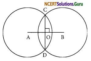 NCERT Solutions for Class 6 Maths Chapter 1 Number Systems Ex 14.1 6