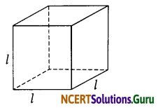NCERT Solutions for Class 6 Maths Chapter 11 Algebra Ex 11.2 2