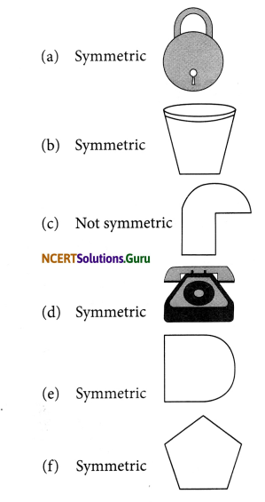 NCERT Solutions for Class 6 Maths Chapter 13 Symmetry Ex 13.1 2