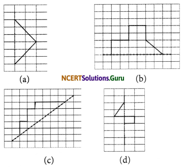 NCERT Solutions for Class 6 Maths Chapter 13 Symmetry Ex 13.1 3